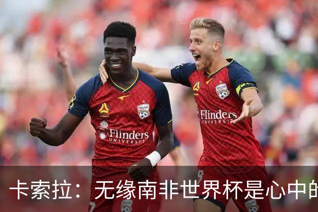卡索拉：无缘南非世界杯是心中的刺